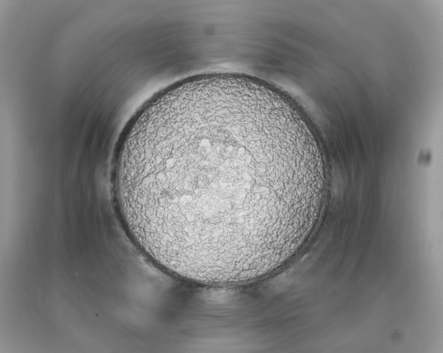 X0000091681278200709061056