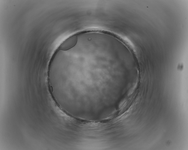 X0000091681279200709061056
