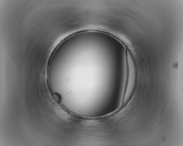X0000091681280200709061056