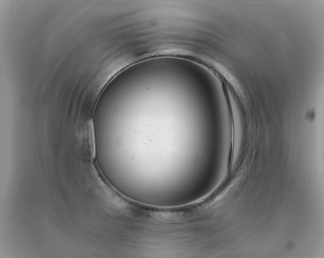 X0000091681281200709061056