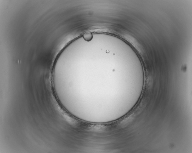 X0000091681282200709061056