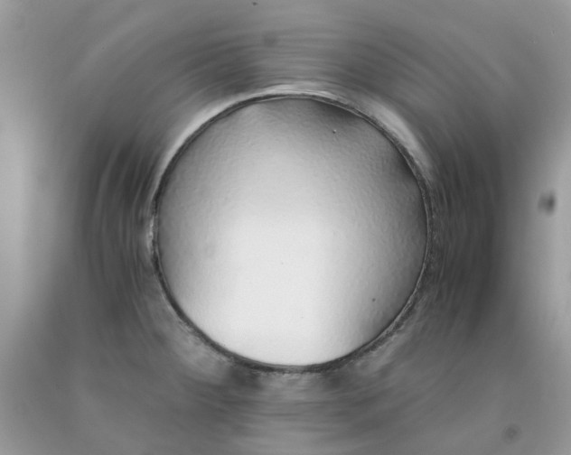 X0000091681284200709061056