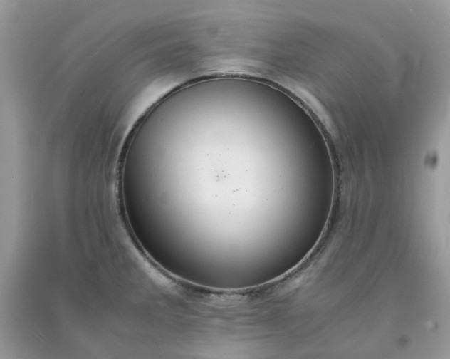 X0000091681285200709061056