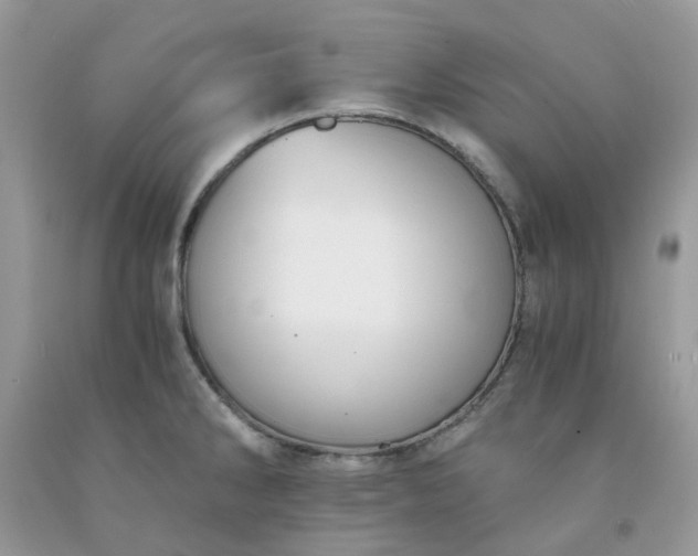 X0000091681286200709061056