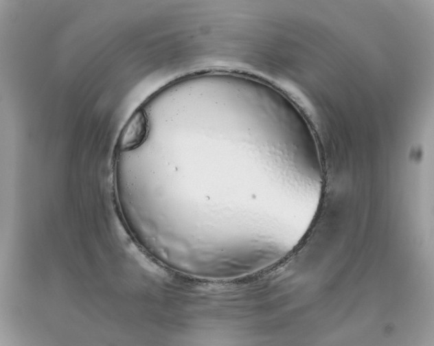 X0000091681287200709061056