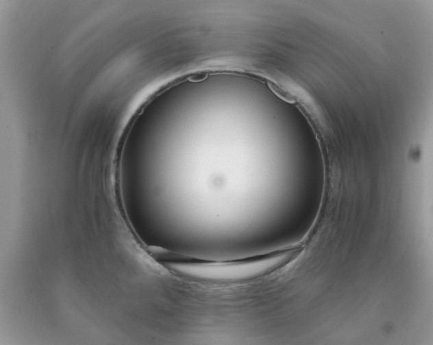 X0000091681288200709061056