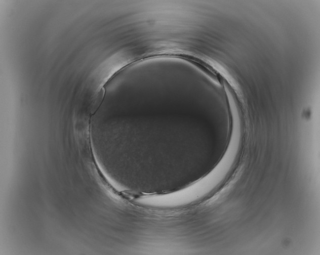 X0000091681289200709061056