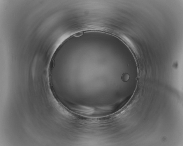 X0000091681291200709061056
