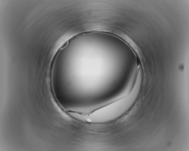X0000091681293200709061056