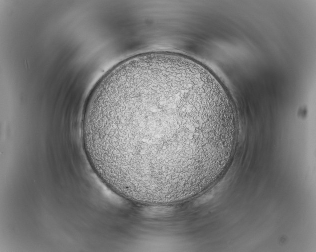 X0000091681294200709061056