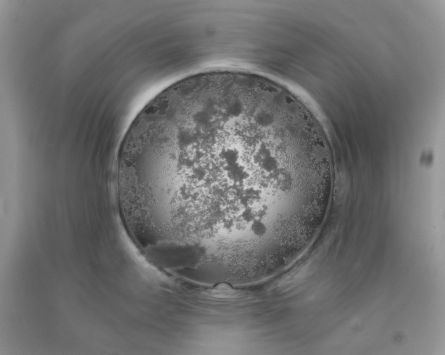 X0000091681295200709061056
