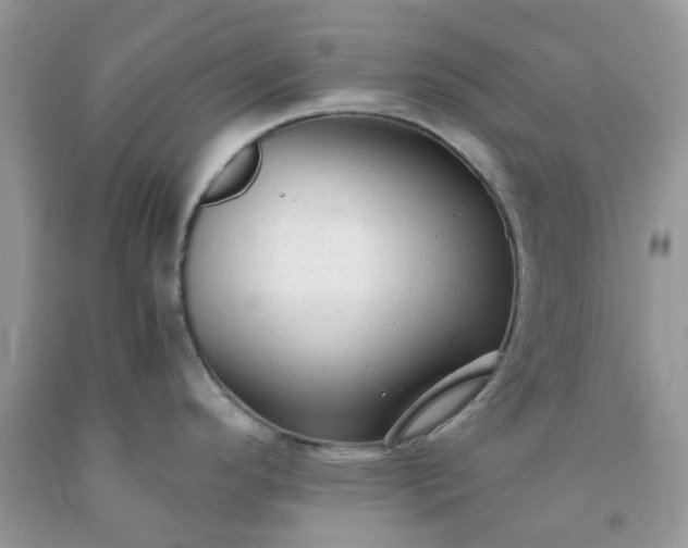 X0000091681296200709061056