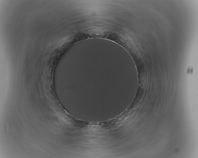 X0000091681297200709061055