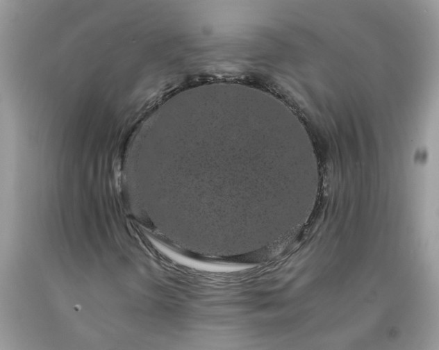 X0000091681298200709061055