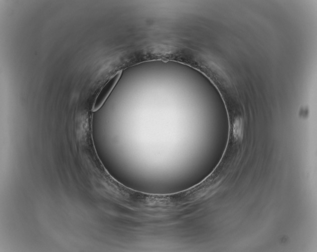 X0000091681299200709061055