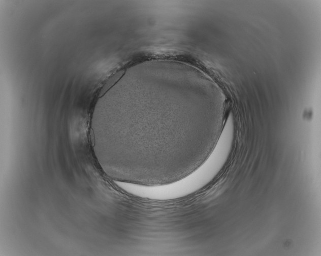 X0000091681300200709061055