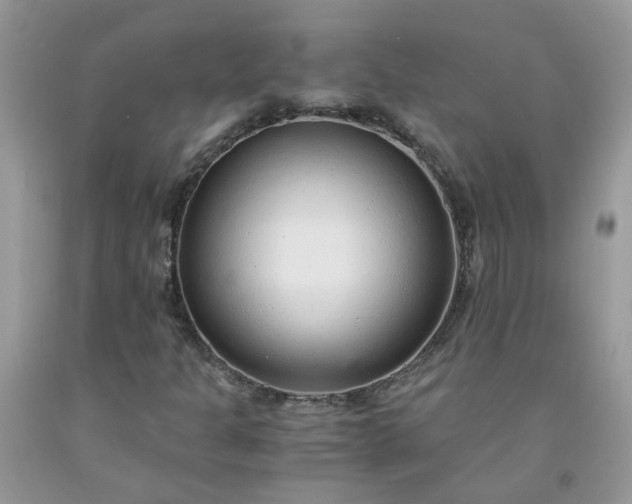 X0000091681301200709061055