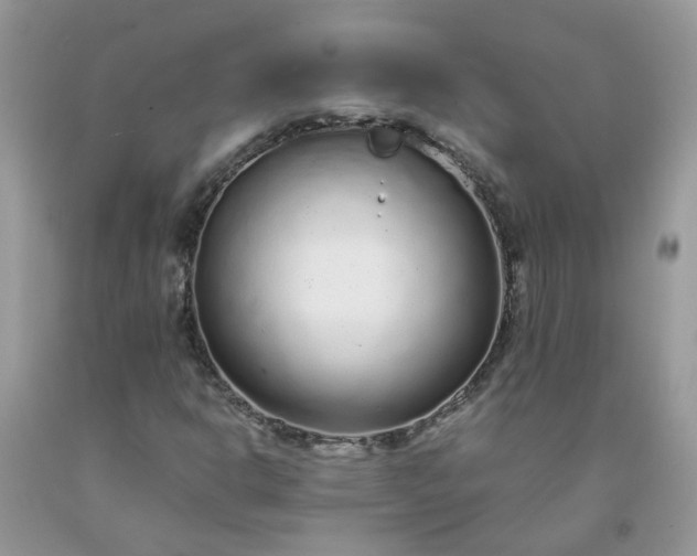 X0000091681302200709061055