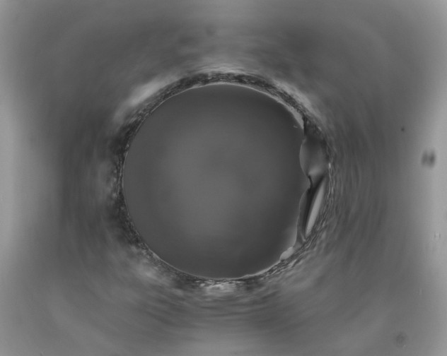 X0000091681303200709061055