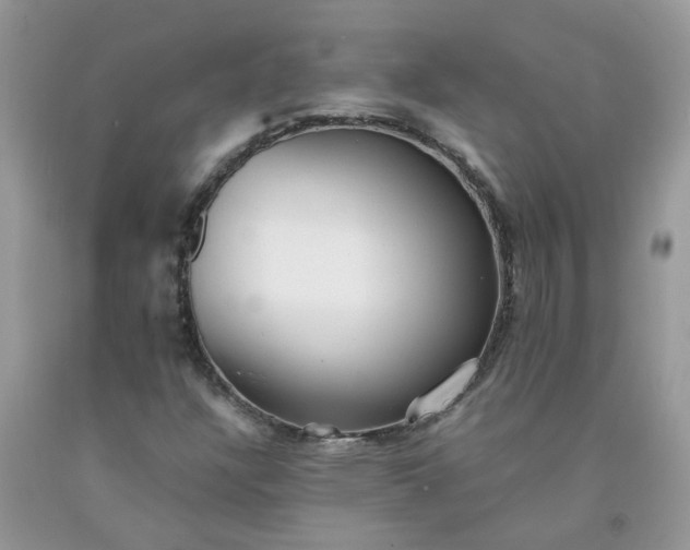 X0000091681304200709061055