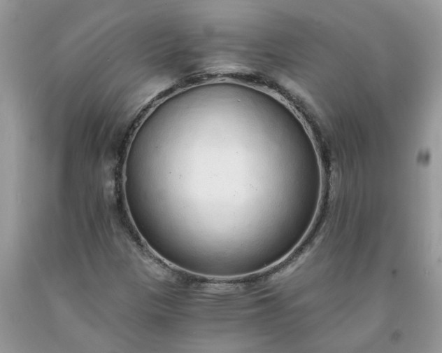 X0000091681305200709061055