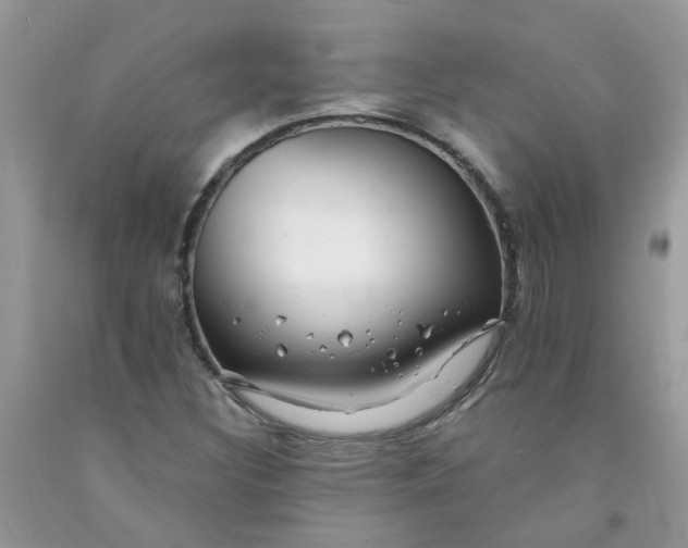 X0000091681308200709061055