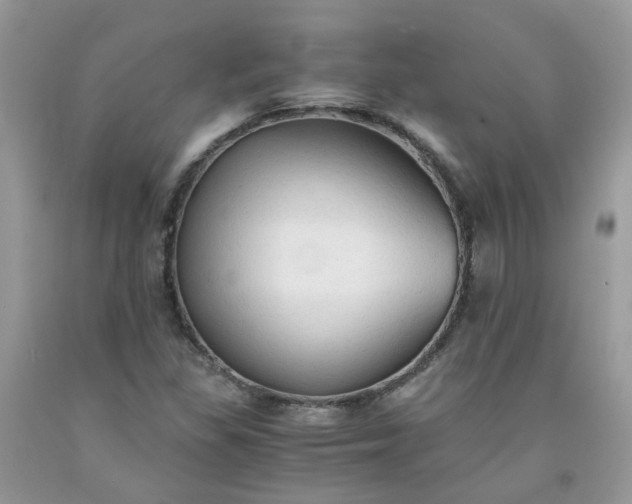 X0000091681309200709061055