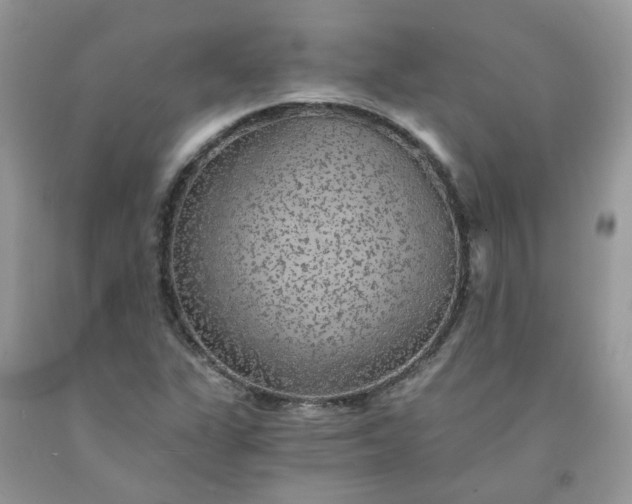 X0000091681311200709061055