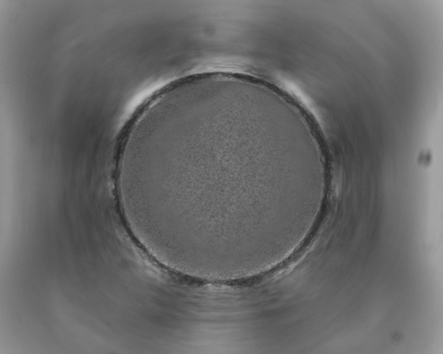 X0000091681312200709061055
