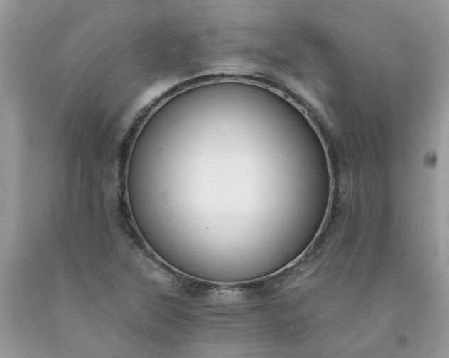 X0000091681315200709061055