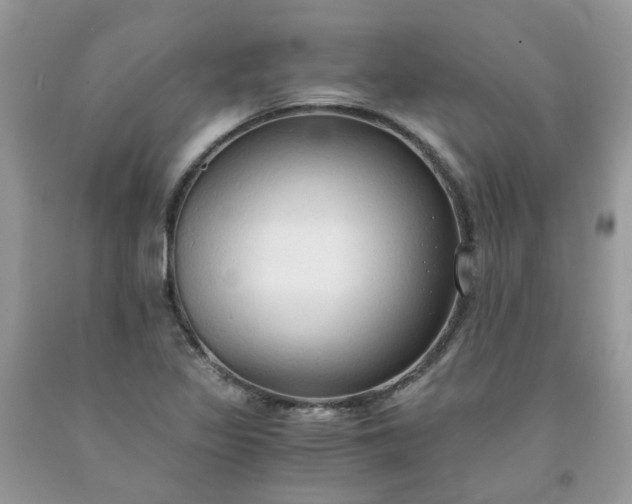 X0000091681317200709061055