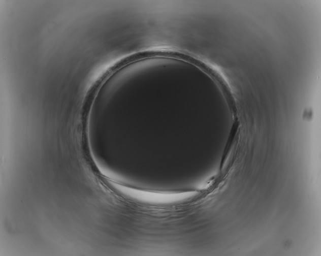 X0000091681319200709061055
