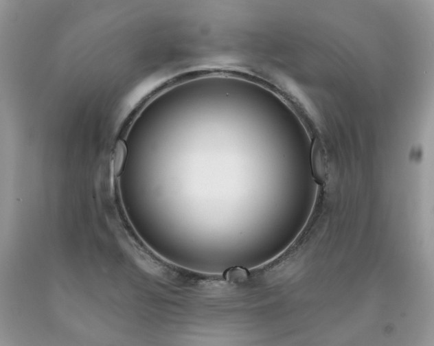 X0000091681320200709061055