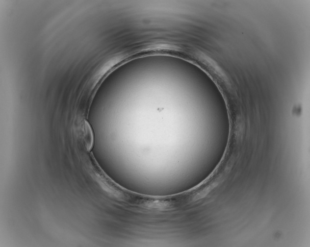 X0000091681321200709061055