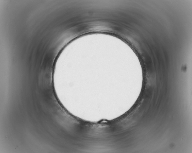 X0000091681322200709061055