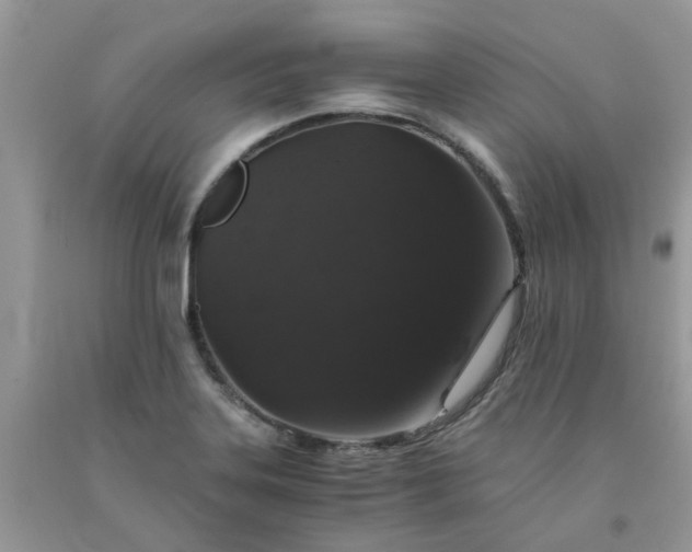 X0000091681323200709061056