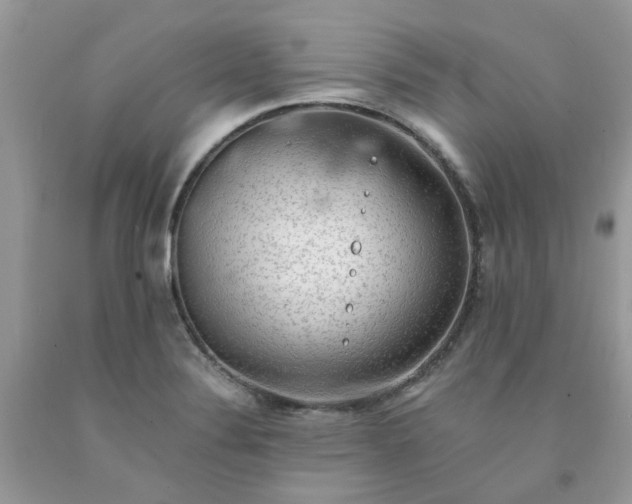 X0000091681324200709061056
