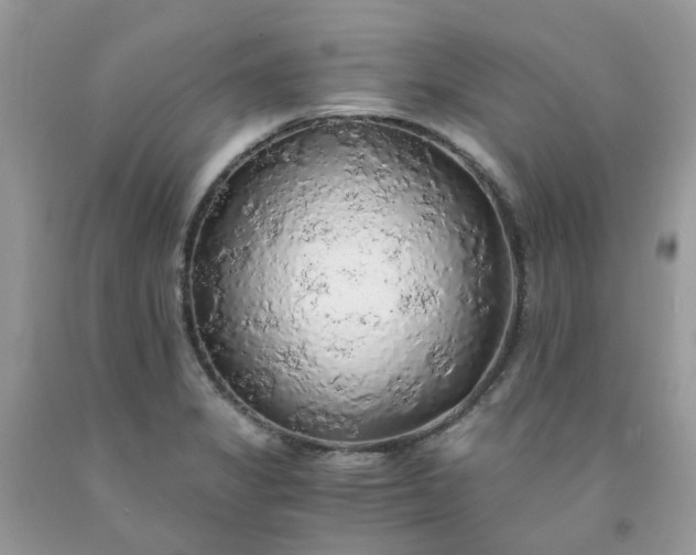 X0000091681325200709061056