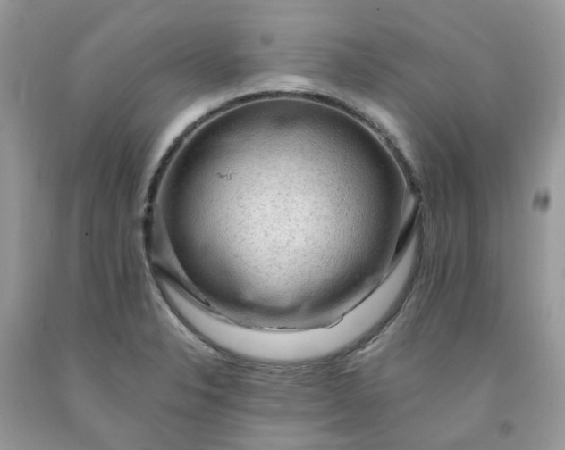 X0000091681326200709061056