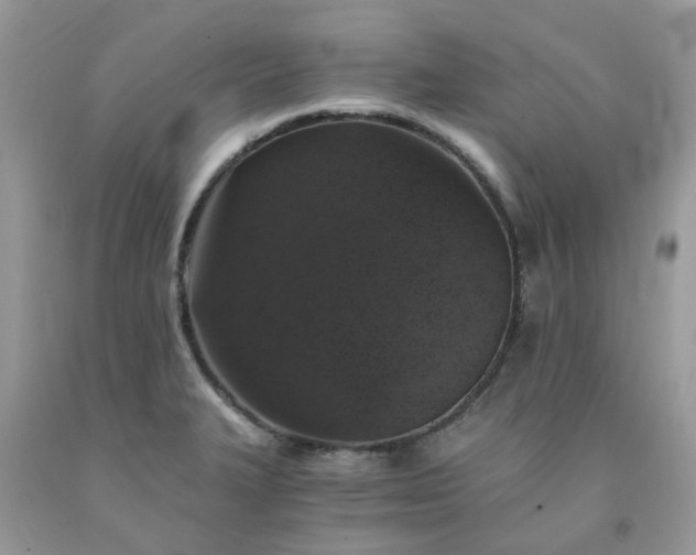 X0000091681327200709061056