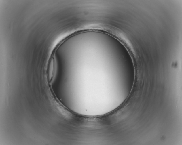 X0000091681328200709061056