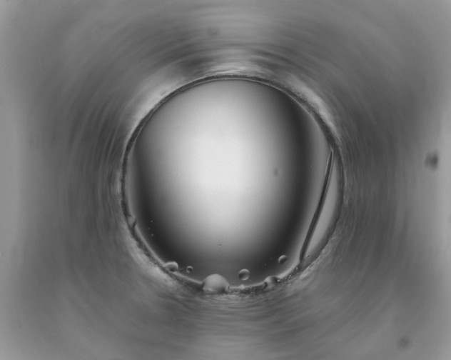 X0000091681330200709061056