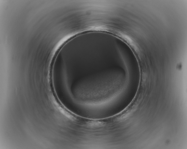 X0000091681331200709061056