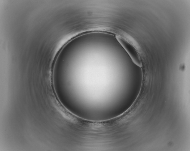 X0000091681332200709061056