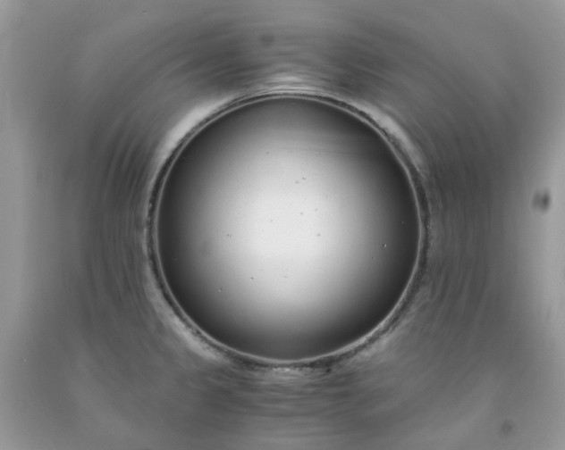 X0000091681333200709061056