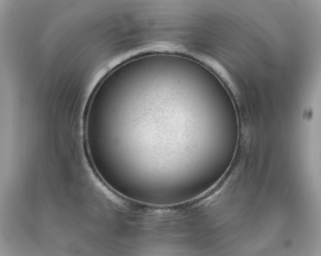 X0000091681335200709061056
