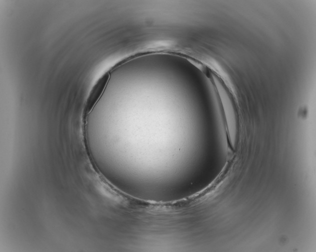X0000091681336200709061056