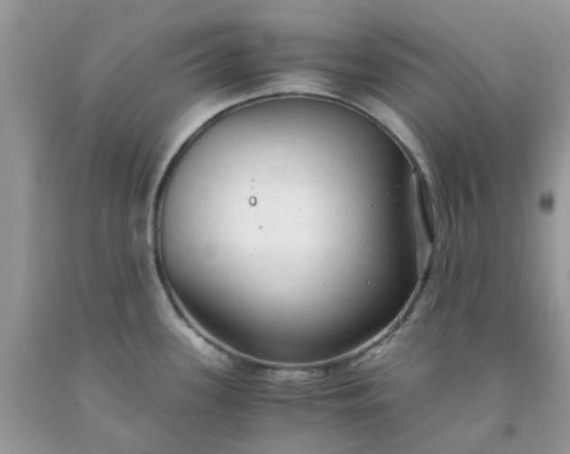 X0000091681339200709061056