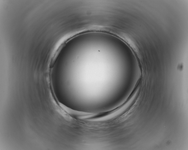 X0000091681342200709061056