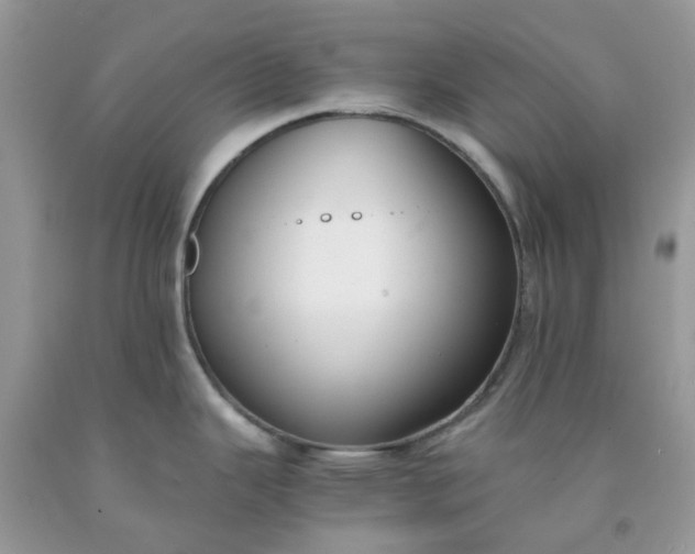 X0000091681343200709061056